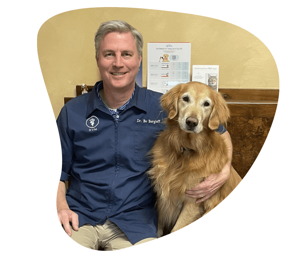 veterinarian with dog