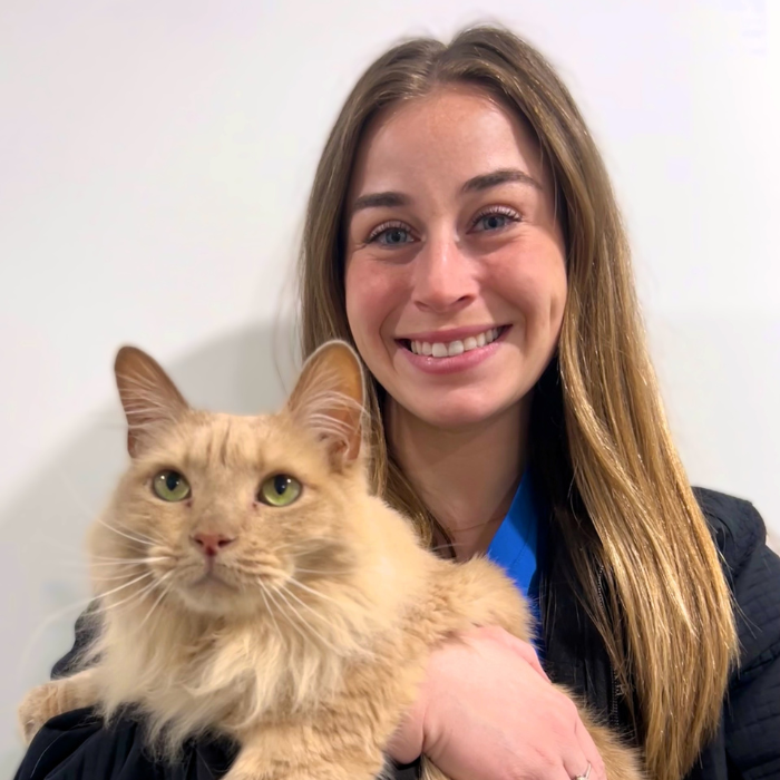 Dr. Asbury Coming Soon