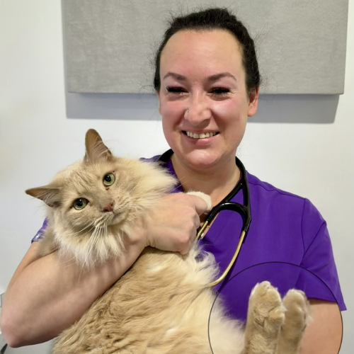 Dr. Caitlyn Franklin